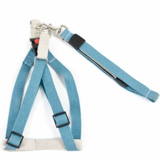 Arnés con correa para mascotas. Celeste