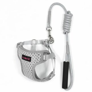 Arnés gris con correa para mascotas S