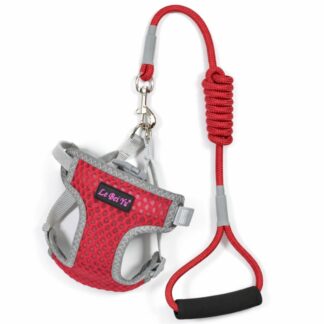 Arnés rojo con correa para mascotas S