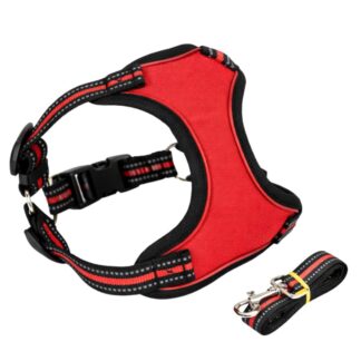 Arnés rojo con correa para mascotas S