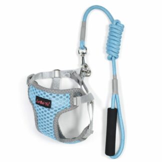 Arnés celeste con correa para mascotas S